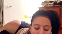 Sexy Asian Babe Zafirah Gives a Hot Blowjob in Bed