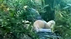 Chinese Outdoor Sex 1
